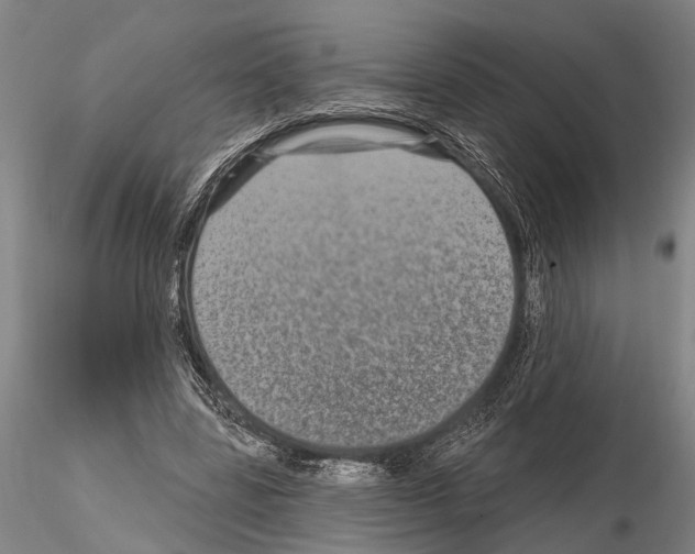 X0000115010539200912071206