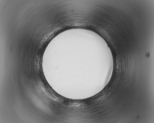X0000115010542200912071206