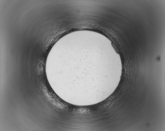 X0000115010546200912071206