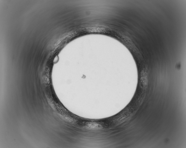X0000115010547200912071206