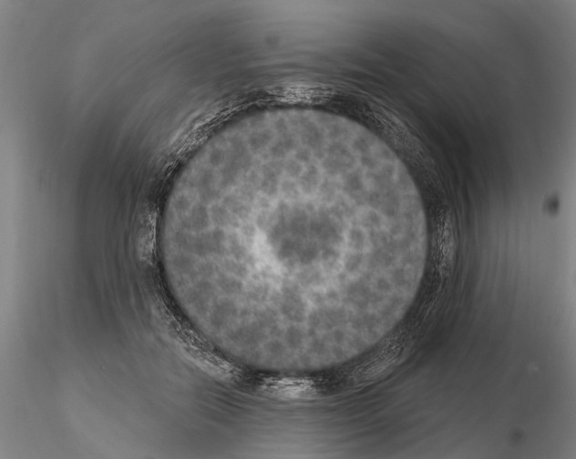 X0000115010554200912071207
