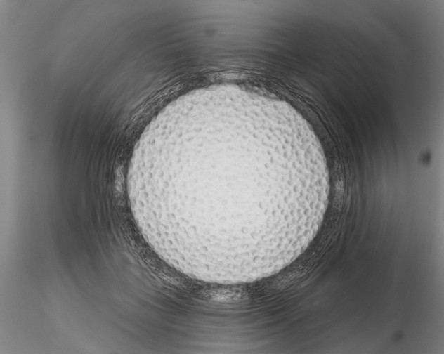 X0000115010555200912071207