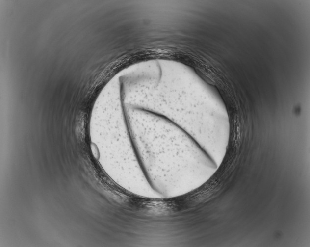 X0000115010562200912071207