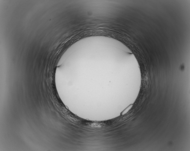 X0000115010566200912071207