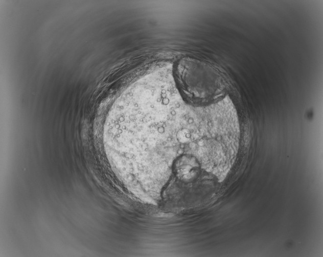 X0000115010569200912071207