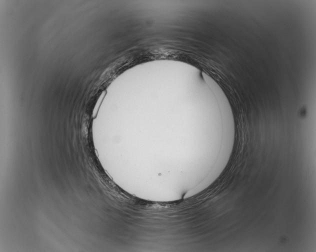 X0000115010570200912071207