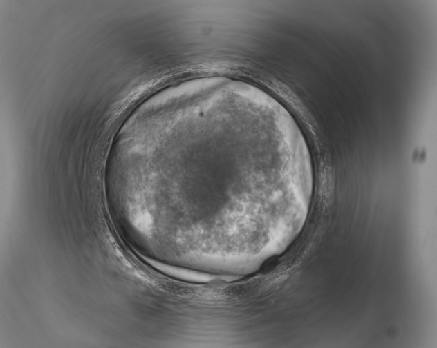 X0000115010577200912071206