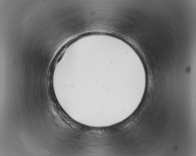 X0000115010580200912071206
