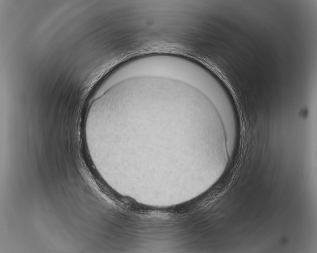 X0000115010581200912071206