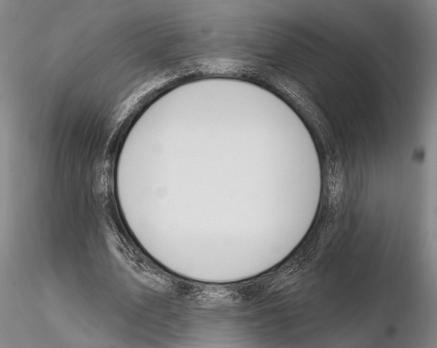 X0000115010583200912071206