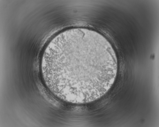 X0000115010584200912071206