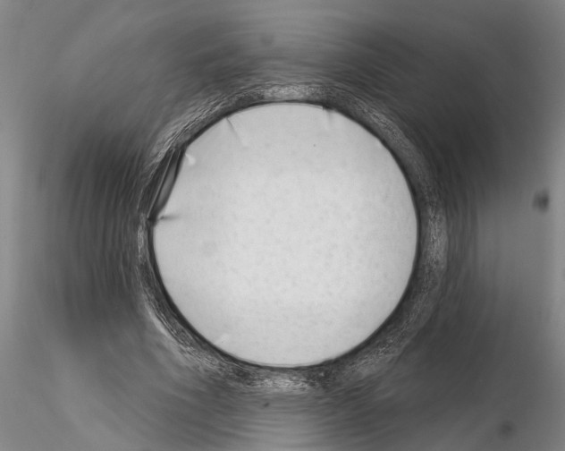 X0000115010586200912071206