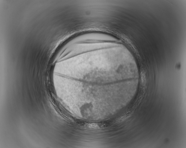 X0000115010588200912071206