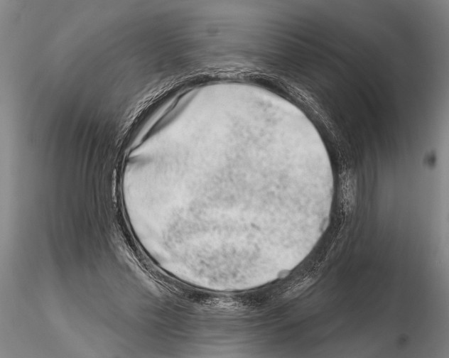 X0000115010589200912071206