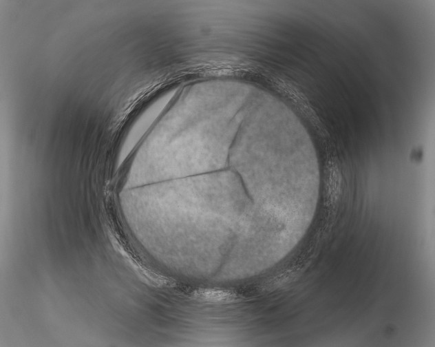X0000115010590200912071206