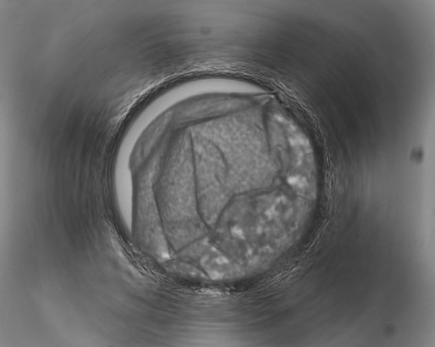 X0000115010592200912071206