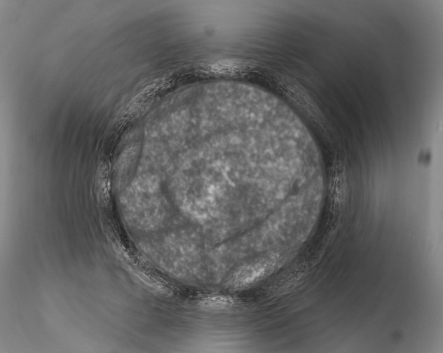 X0000115010593200912071206