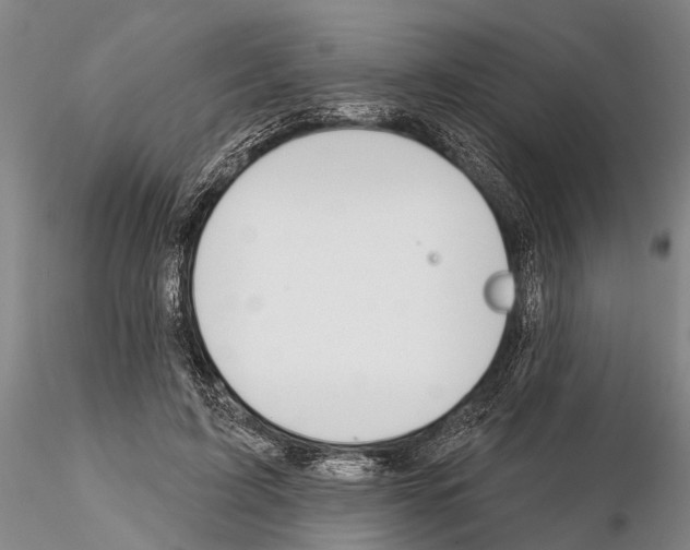 X0000115010595200912071206