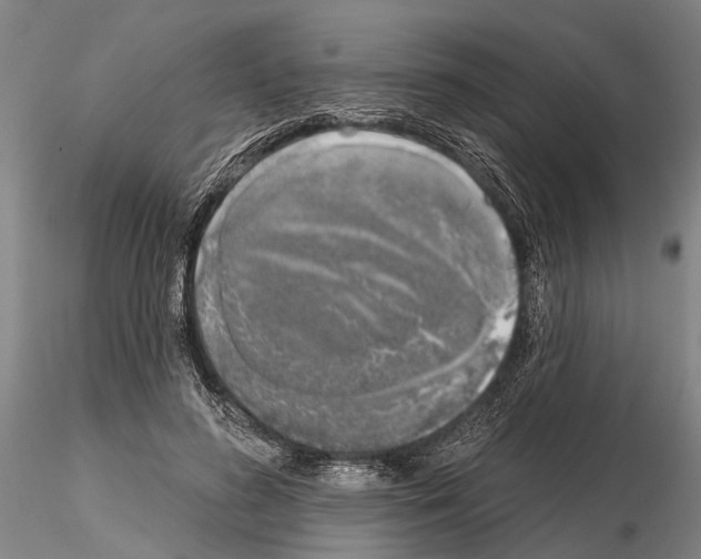 X0000115010596200912071206