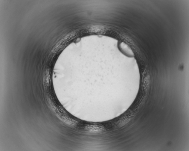 X0000115010597200912071206
