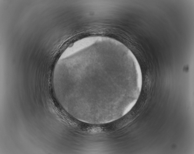 X0000115010600200912071206
