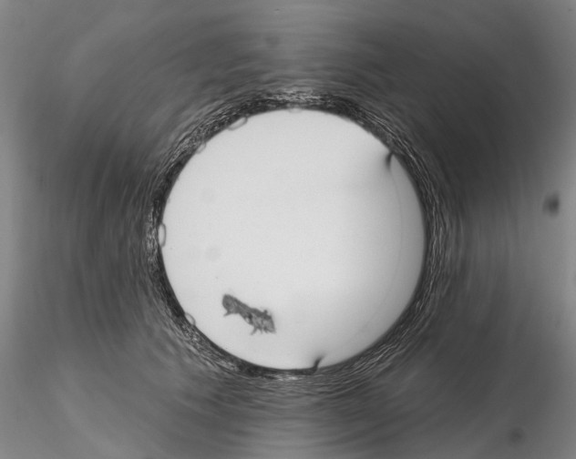 X0000115010609200912071206