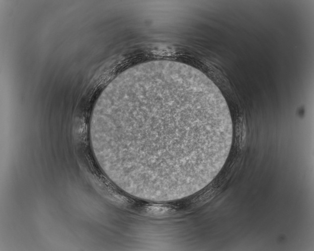 X0000115010614200912071206