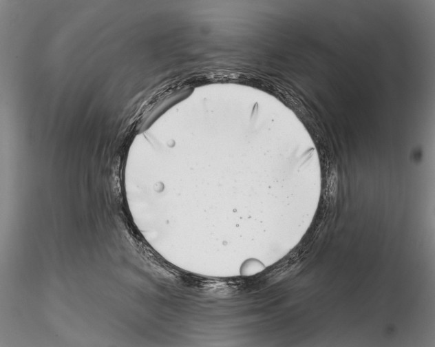 X0000115010616200912071206