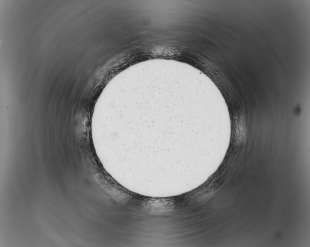 X0000115010619200912071206