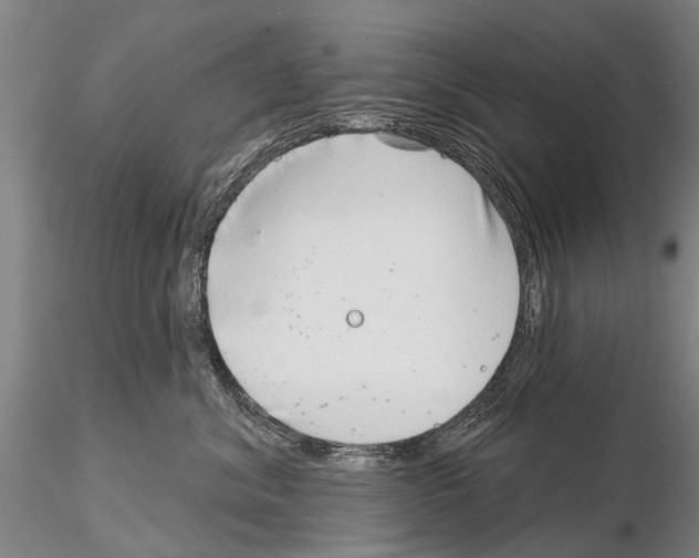 X0000115010620200912071206