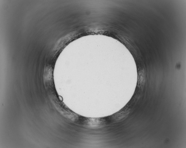 X0000115010623200912071205