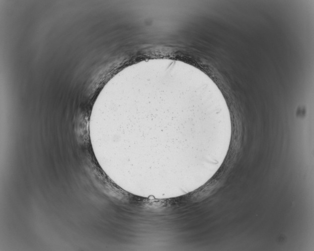 X0000115010624200912071205