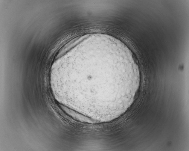 X0000115010626200912071205