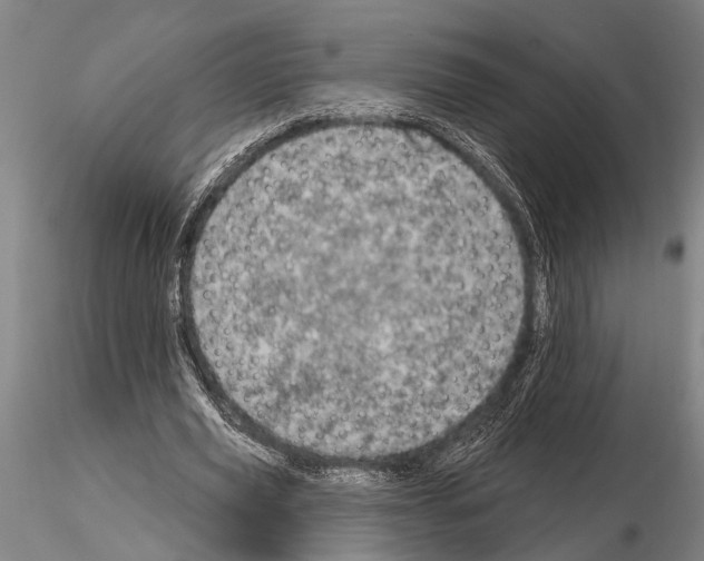 X0000115010629200912071205