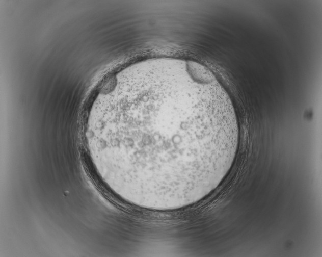 X0000115010630200912071205