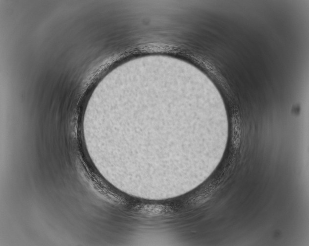 X0000115010631200912071205
