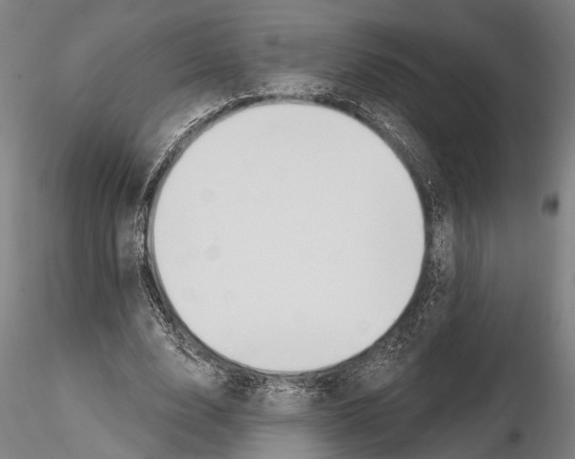 X0000115010632200912071205