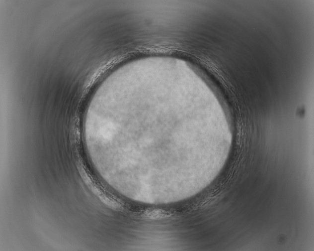 X0000115010634200912071205