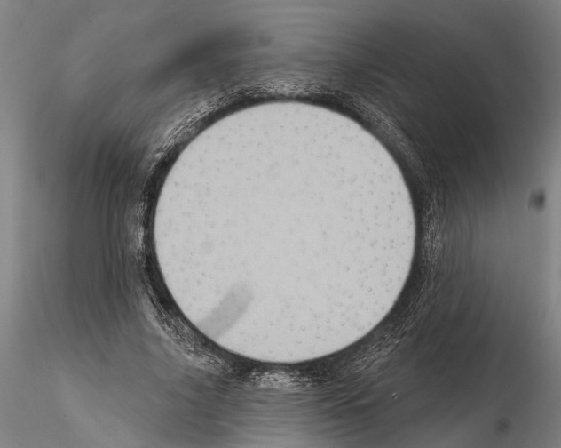 X0000115010635200912071205