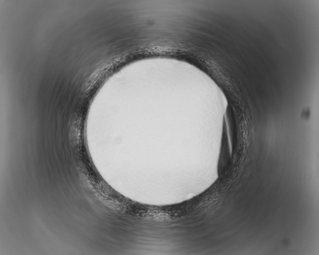 X0000115010640200912071205