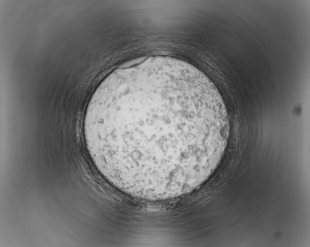 X0000115010641200912071205