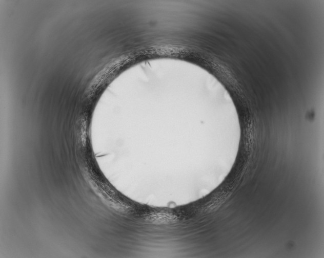 X0000115010644200912071205
