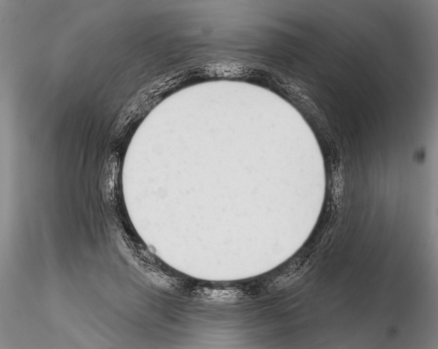 X0000115010645200912071205