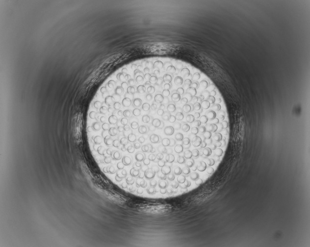 X0000115010646200912071205