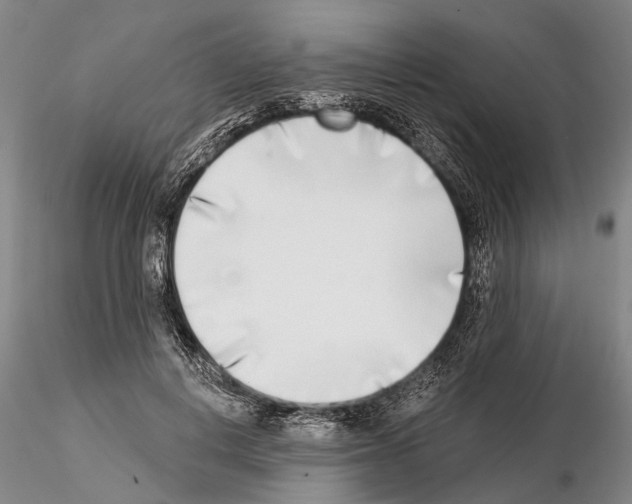 X0000115010648200912071205