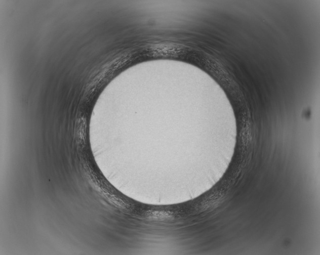 X0000115010649200912071205