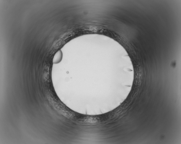 X0000115010656200912071205