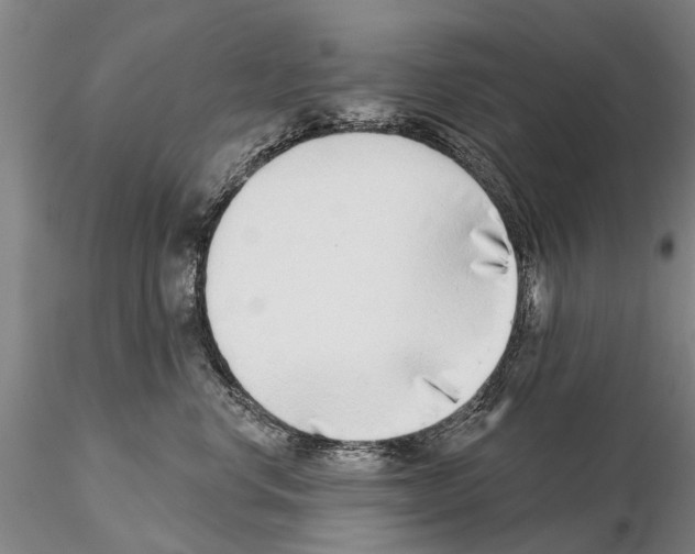 X0000115010668200912071205