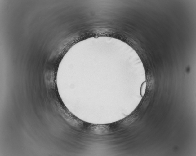X0000115010670200912071205