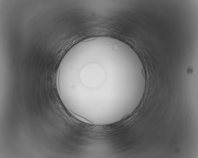 X0000115010672200912071205